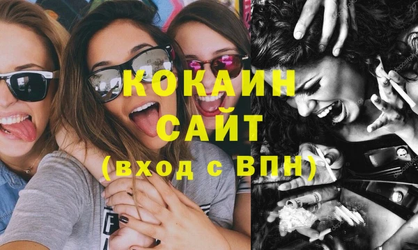 твердый Алексин