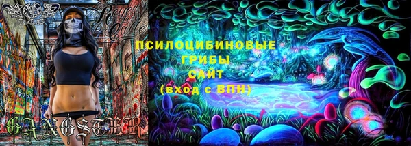 МДПВ Алексеевка